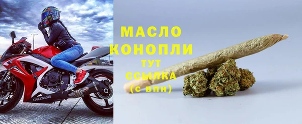 apvp Инсар