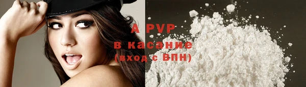 apvp Инсар