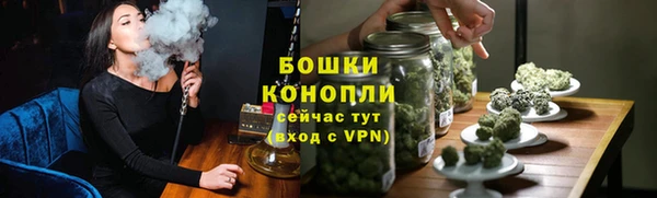 apvp Инсар
