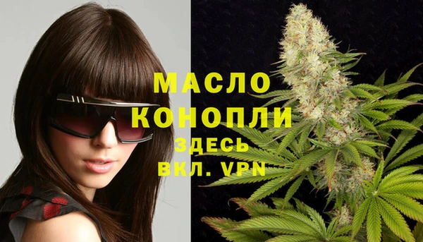 apvp Инсар