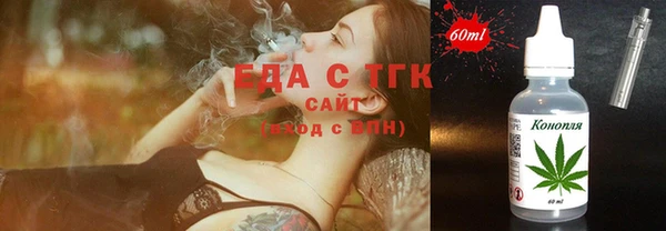 apvp Инсар