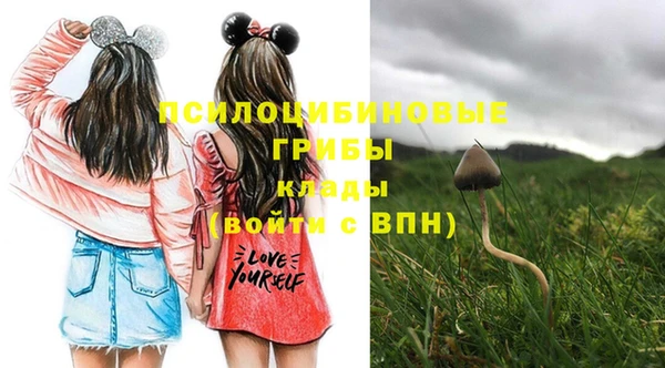 а пвп мука Иннополис