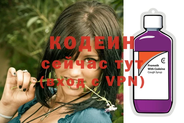 apvp Инсар