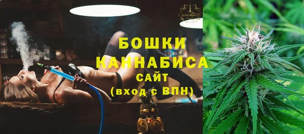 apvp Инсар