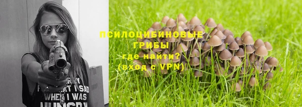 apvp Инсар
