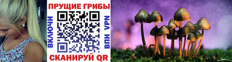 Галлюциногенные грибы MAGIC MUSHROOMS  Купить  Похвистнево 